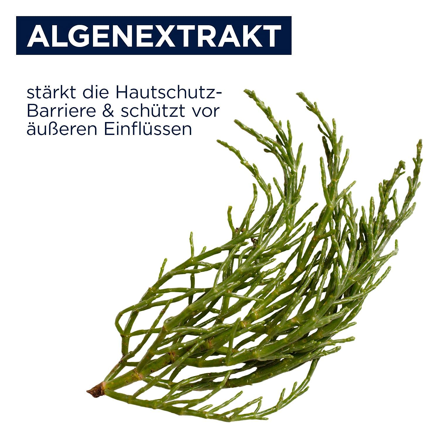 Heliotrop Feuchtigkeitsspendende Tagespflege für normale bis trockene Haut, Gesichtspflege mit Algenextrakt, Vitamin C und Rizinusöl, Active Regenerativ Tagescreme, 1 x 50 ml