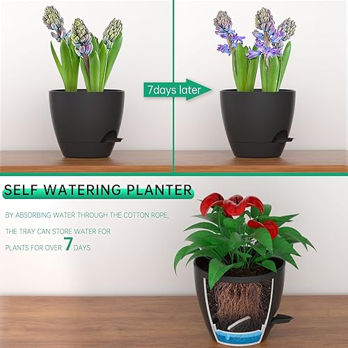 Miniatura 7 de ZMTECH 10 Inch Plant Pots Set of 2 Planters for Indoor Plants Self Watering Pots Flower Pots with Drainage Holes and Saucer for Outdoor