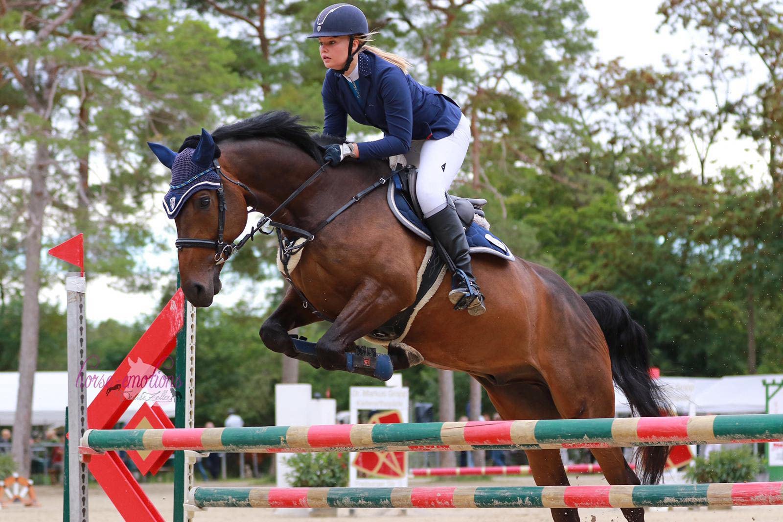 Equanis MoveActive - Soutient une fonction articulaire normale chez les chevaux - Avec MSM, glucosamine, acide hyaloronique, églantier, curcuma et chondroïtine