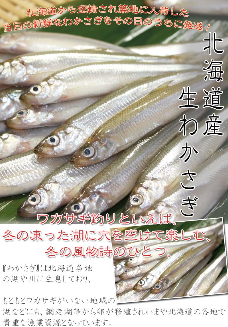 Amazon 北海道産 生わかさぎ 約300ｇ 築地の匠 鮮魚 通販