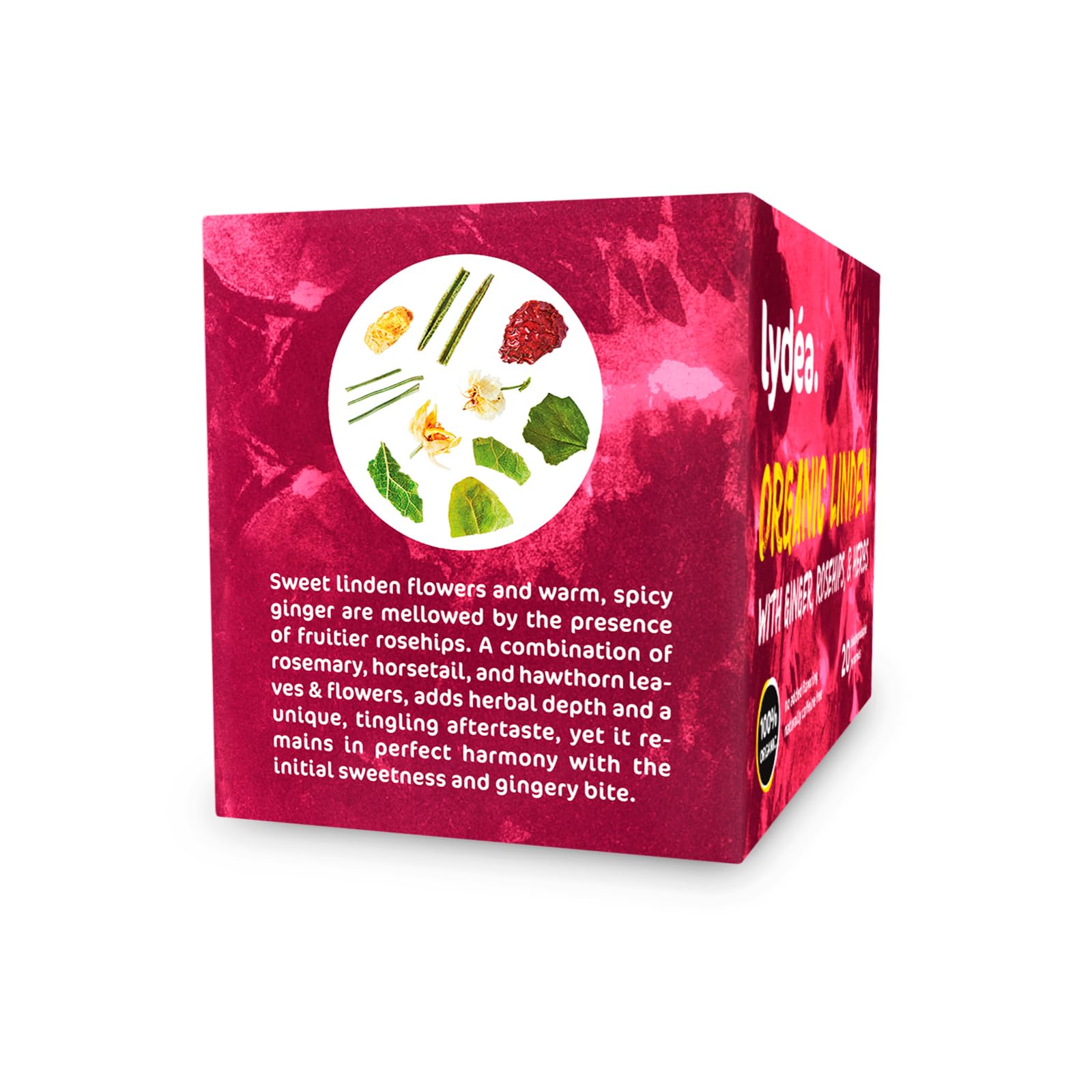 Lydea Tisane bio, tilleul avec gingembre, cynorrhodon et herbes, 60 pyramides, lot de 3 [3 x 20 pyramides]