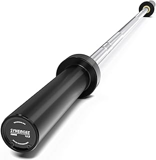 Synergee 15lb Technique Barbell Silver Aluminum Bar for Form & Technique Training for Power & Olympic Lifting.