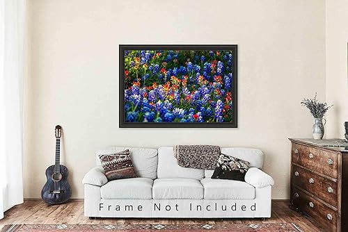 Miniatura 5 de Wildflower Photography Print (Not Framed) Picture of Bluebonnets and Indian Paintbrush on Spring Day in Texas Flower Wall Art Nature Decor (8" x 12")