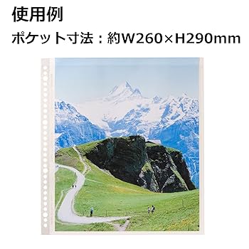 Amazon | ハクバ HAKUBA フォトシステムファイル SF-1替台紙 4切