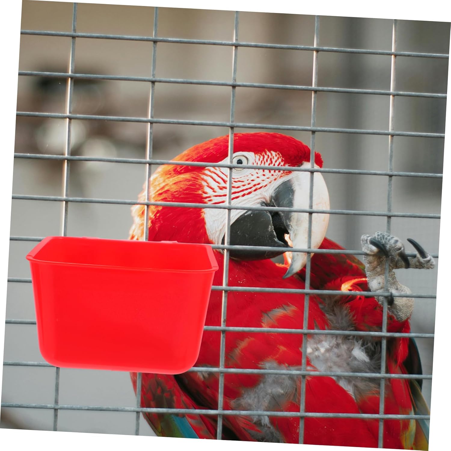 Happyyami 4pcs Durable Hanging Bird Cage Feeding Cups Thickened Rabbit Water Bowls Chicken Coop Feeders Red Pet Food and Water Bowls for Animals
