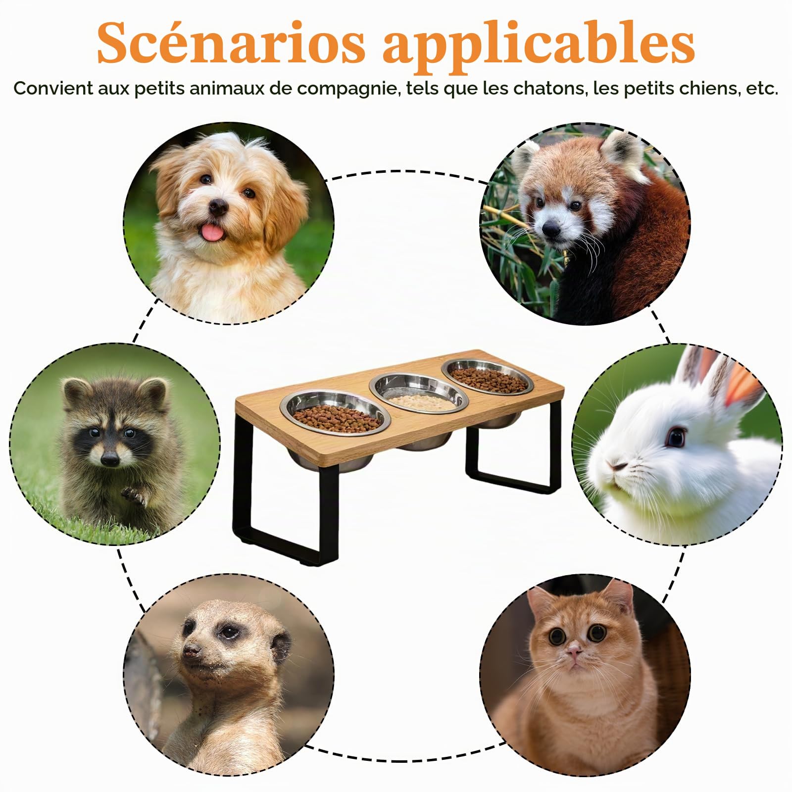 Gamelle Surélevée pour Chat, Station d'alimentation Surélevée avec 3 Gamelles en Acier Inoxydable, Ensemble de Gamelles inclinées à 15° avec Support en Bois, Gamelle pour Chat et Chien