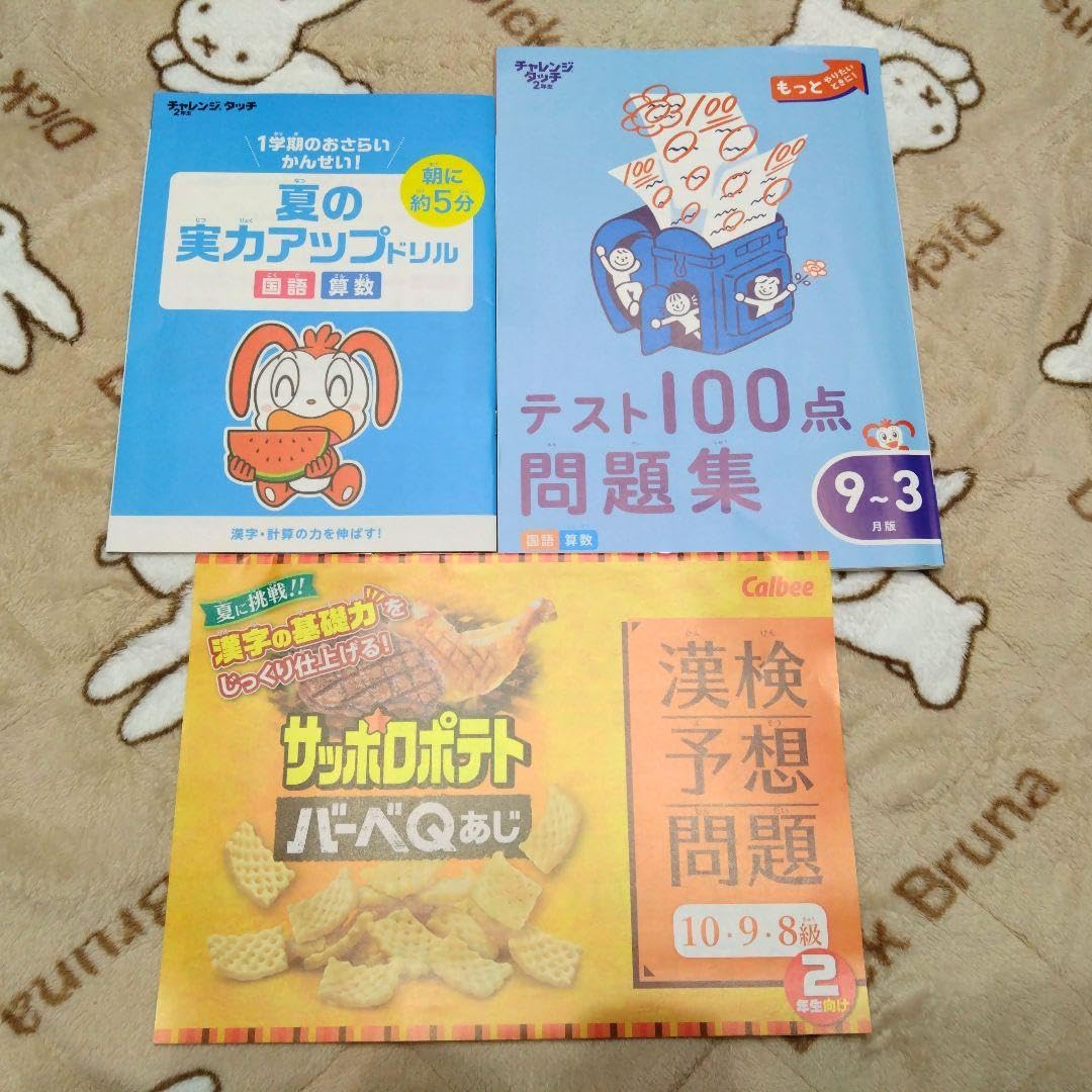 Amazon.co.jp: 進研ゼミ 小学講座 チャレンジタッチ2年生