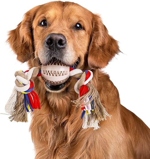 Corde &agrave; tirer pour chien