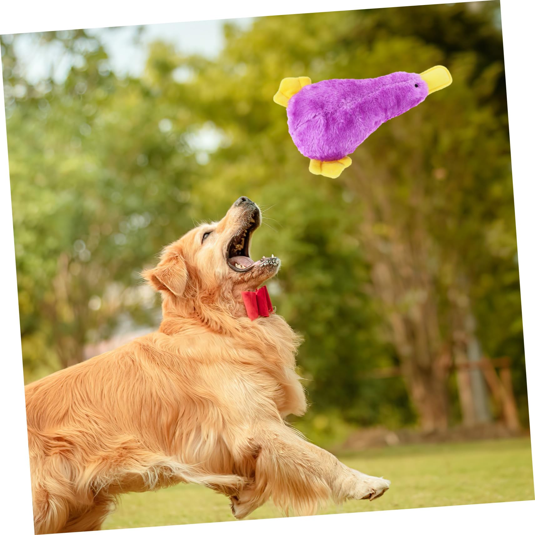 ORFOFE Jouet à Mâcher pour Chien Qui Couine Jouet Peluche pour Chien pour Chiot pour Animal de Compagnie