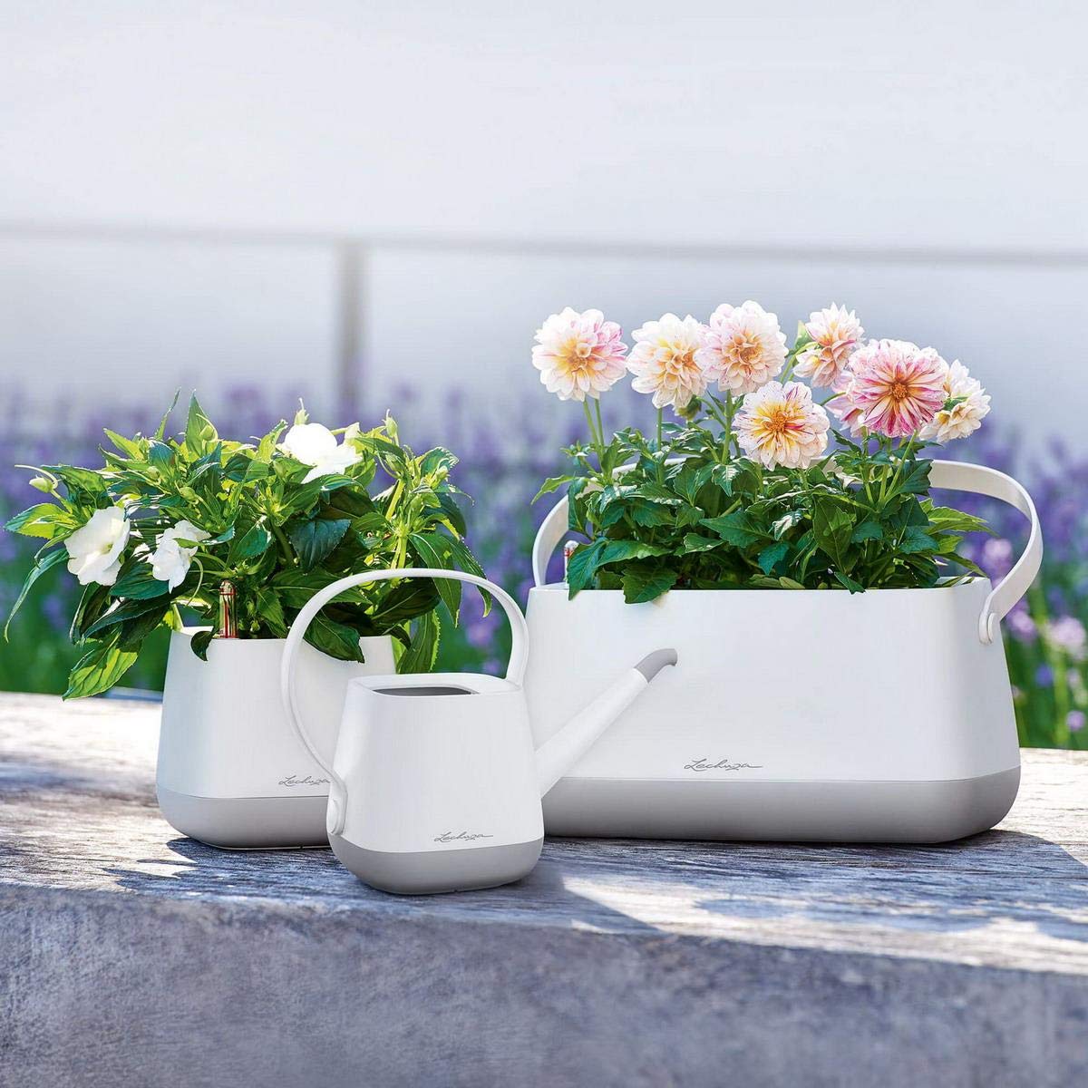 Lechuza 13890 YULA - Regadera (1,7 L), Color Blanco y Rosa