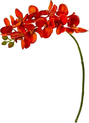 Nearly Natural Flor artificial de orquídea Phalaenopsis de 21 pulgadas (juego de 6)