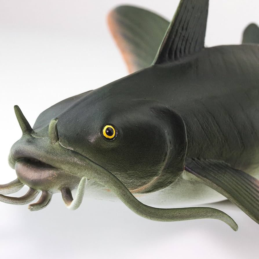スノーボード 24-25 LIFE RIDDIM OUTERTAINMENT CATFISH Amazon.com: Safari Ltd. Catfish Figurine - Realistic 6