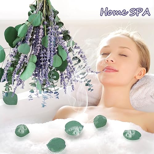 Miniatura 2 de Paquete de 80 tallos de eucalipto conservados secos grandes y flores de lavanda para ducha, hojas de dólar de plata colgantes frescas reales de 17