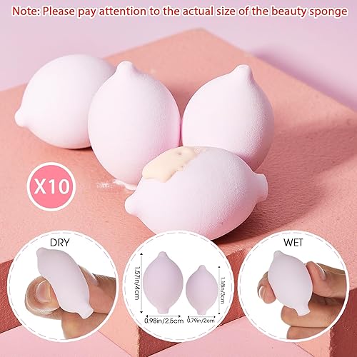 Miniatura 3 de SiliFine Juego de 20 brochas de maquillaje de viaje, 10 mini brochas de maquillaje de viaje con bolsa, 10 esponjas de maquillaje de princesa, juego