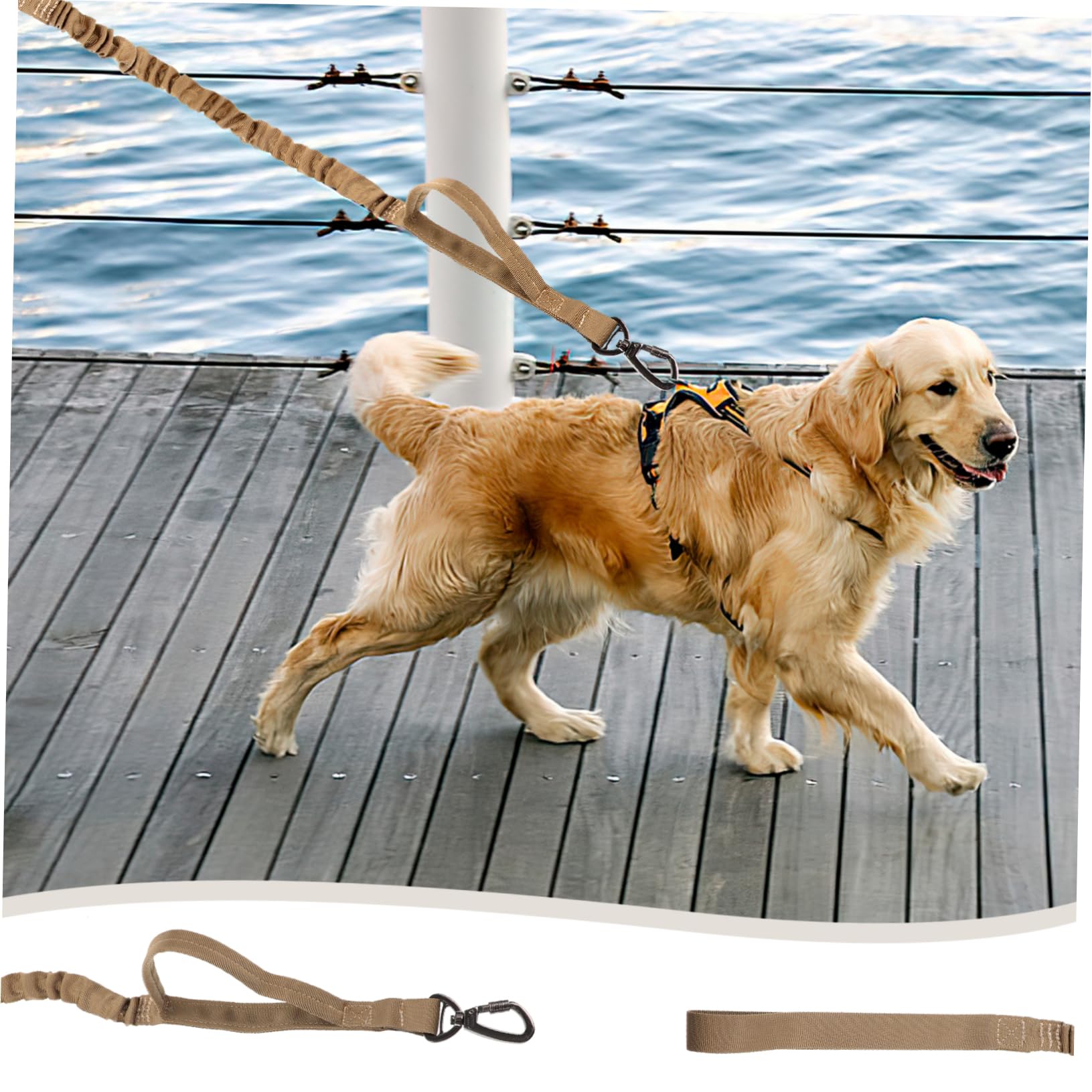 Kisangel 3pièces Laisse De Dressage pour Chien Nylon Élastique Réglable Parfaite pour Promenades Activités Extérieur