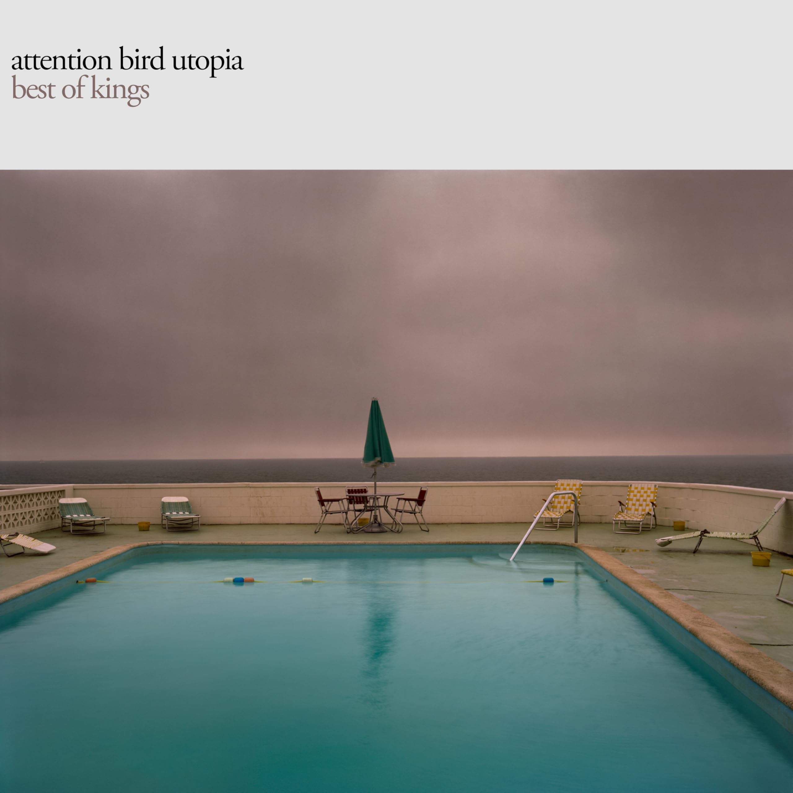 Attention Bird Utopia
