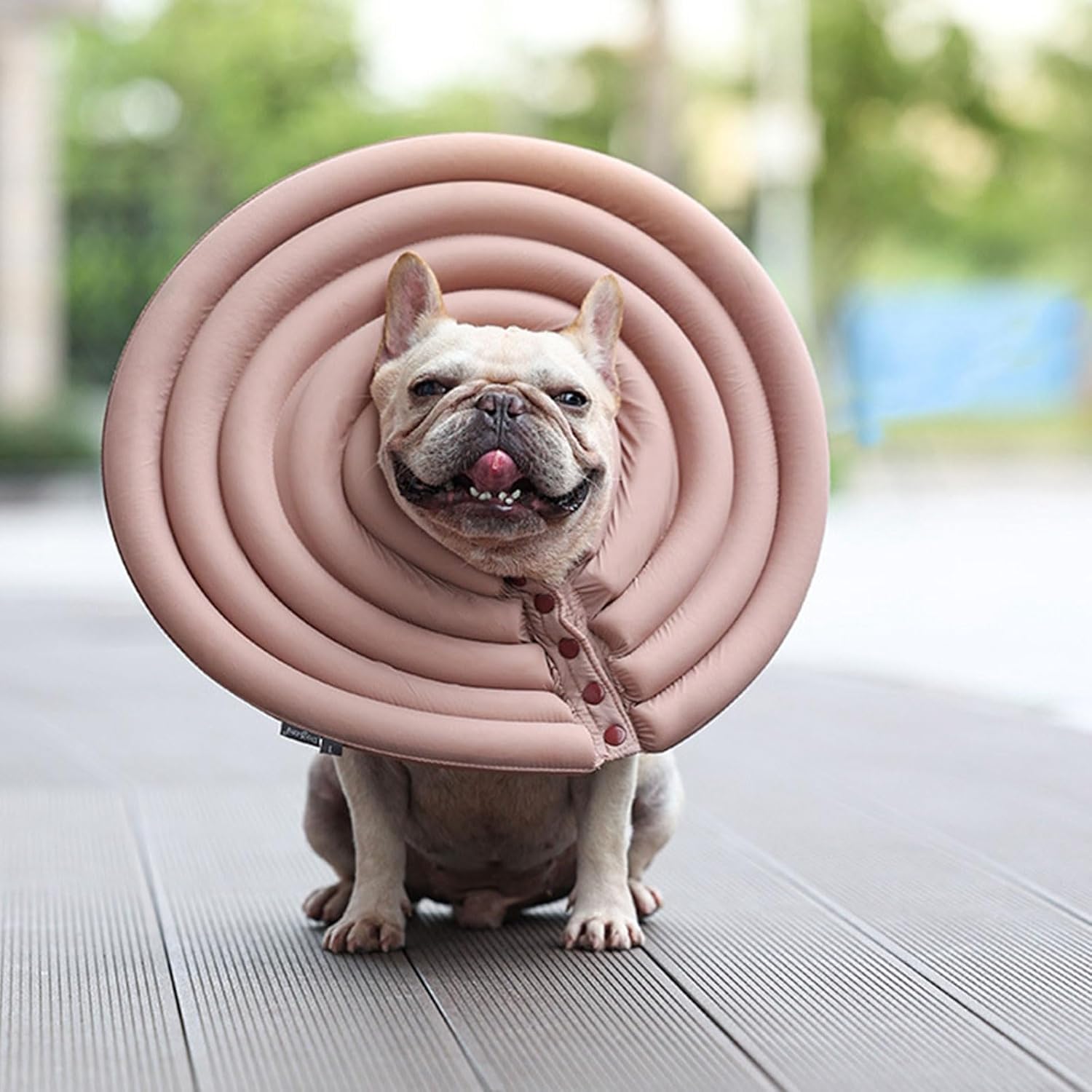 Recovery Cone for Pet Kitten Small to Large Dogs Recovery Collar Neck with Sticker Soft for Dogs After