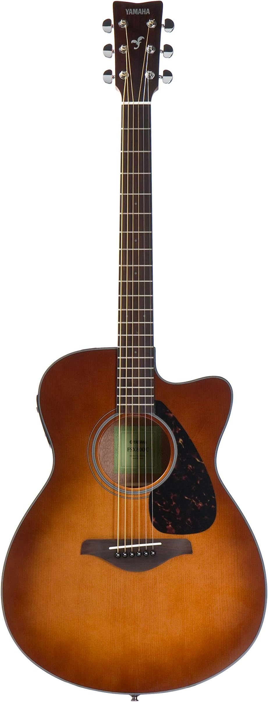 Electro Acoustic Guitar FSX800CSDBII