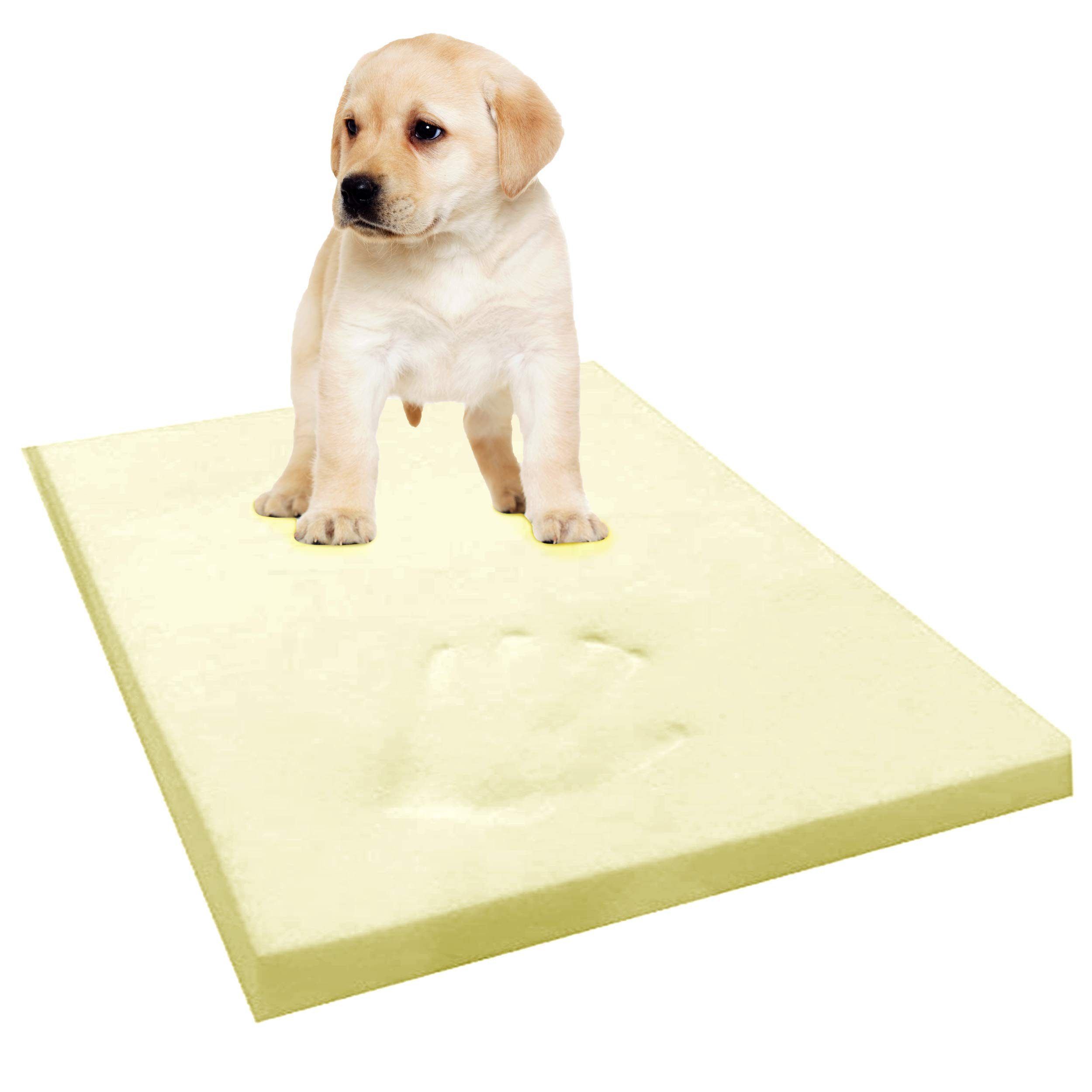 GAX Sports Memory Foam Dog Bed 100% Visco Elastic Cool Gel Mattress Off-Cut Anti-Microbial Cushions Certified Foam Supportive, Pressure Relief Temperature Sensitive & Pain Relief (24 x 36 x 2 inches)