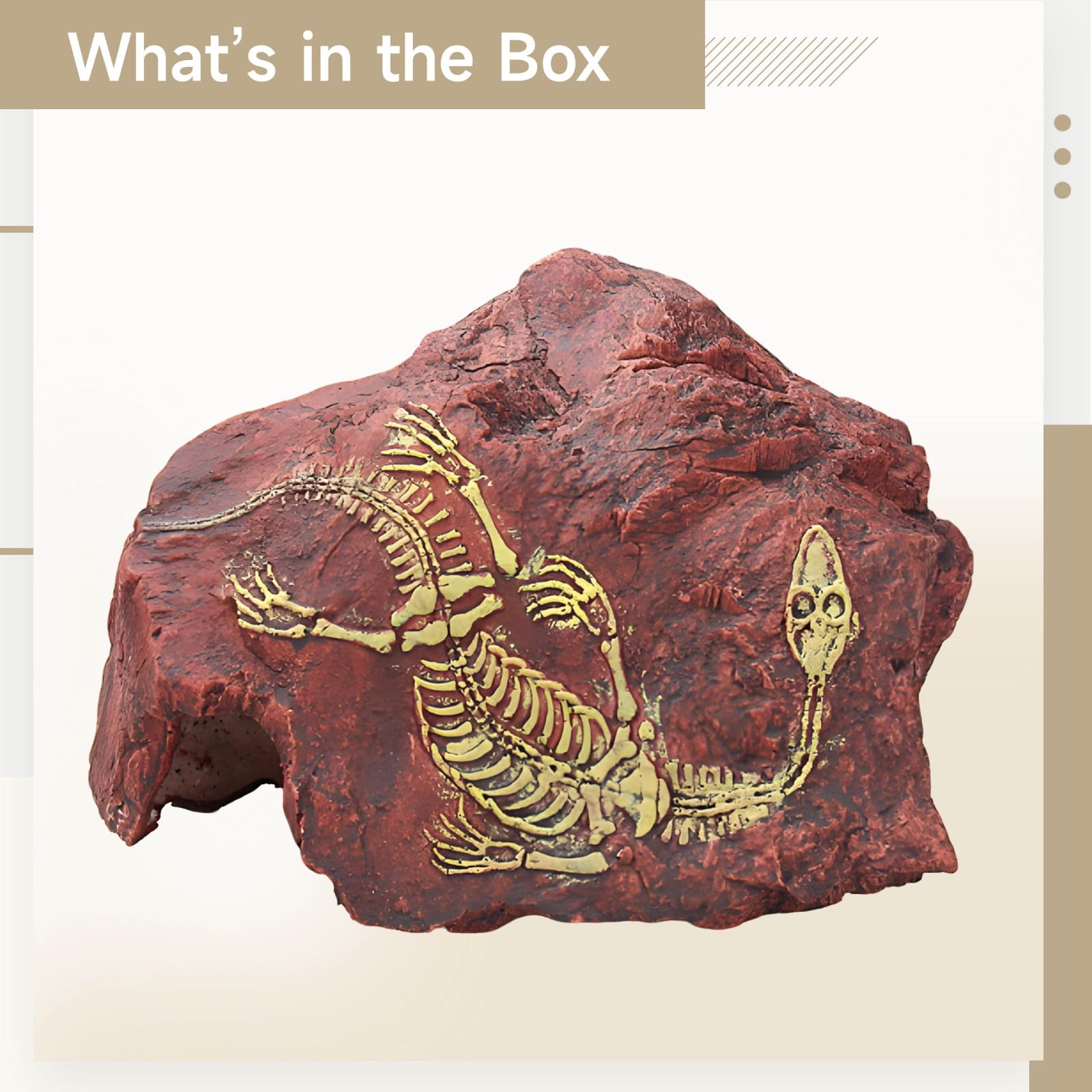 Reptilienversteck, Dinosaurier Fossil Aquarium Deko, 24 cm Resin Dekofigur, Zubehör für Aquarium und Terrarium, realistische Höhle für Eidechse, Gecko, Schlange, Spinne, naturgetreue Terrarien Deko