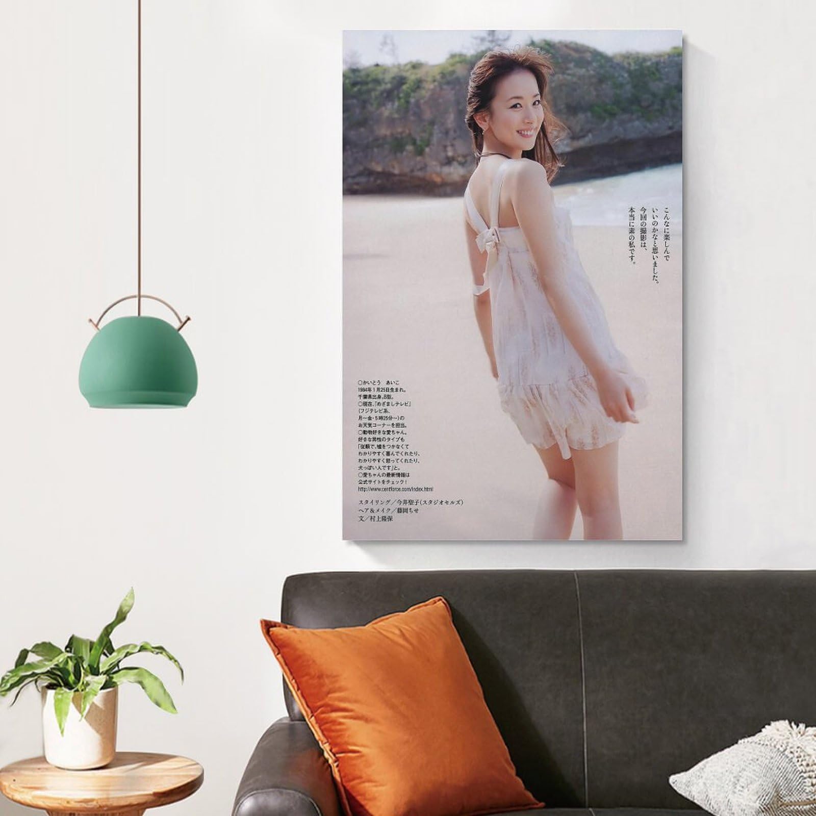 Amazon.co.jp: 皆藤愛子グラビア水着画像集女優・歌手・アイドル249