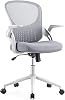 OLIXIS Office Chair - Ergonomic Flip-up Arm Home Office Computer Swivel Desk Chair with Wide Seat, Thickened Seat Cushion, Widened Backrest, Storage Back Basket, Lumbar Support, Grey Z3519GY-2