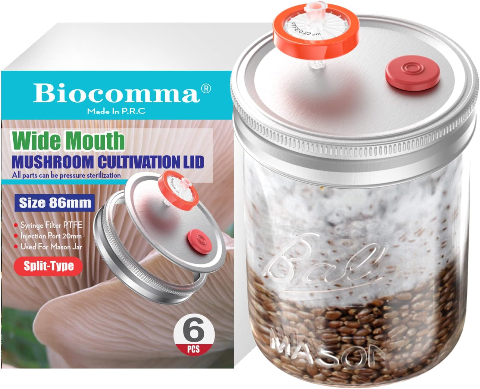 Amazon.com: Biocomma 6Pcs Liquid Culture Lid Grain Spawn Cultivation ...