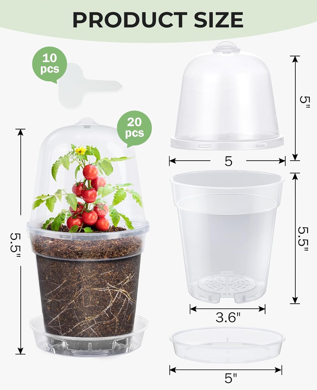 homenote 5 Inch Clear Nursery Pots 20 Pack with Humidity Domes&Plant Saucers–Rigid Plastic Nursery Pots with Drainage,Transparent Flower Pots for Seedlings,360° Rotary Vent,Indoor Outdoor Garden
