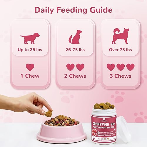 Heart Support Supplement for Dogs, Taurine for Senior — close-up of materials and construction quality