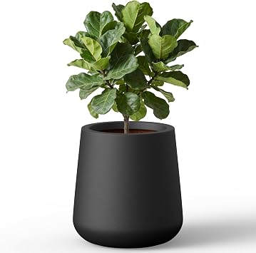 Kante Accent Round Curved Black Concrete Planter 11.8" Dia, Outdoor