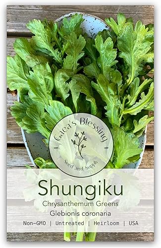 Gaea's Blessing Semillas Shungiku (0.05 oz) Semillas sin OMG con instrucciones de siembra fáciles de seguir - Verdes de crisantemo Tong Ho Heirloom