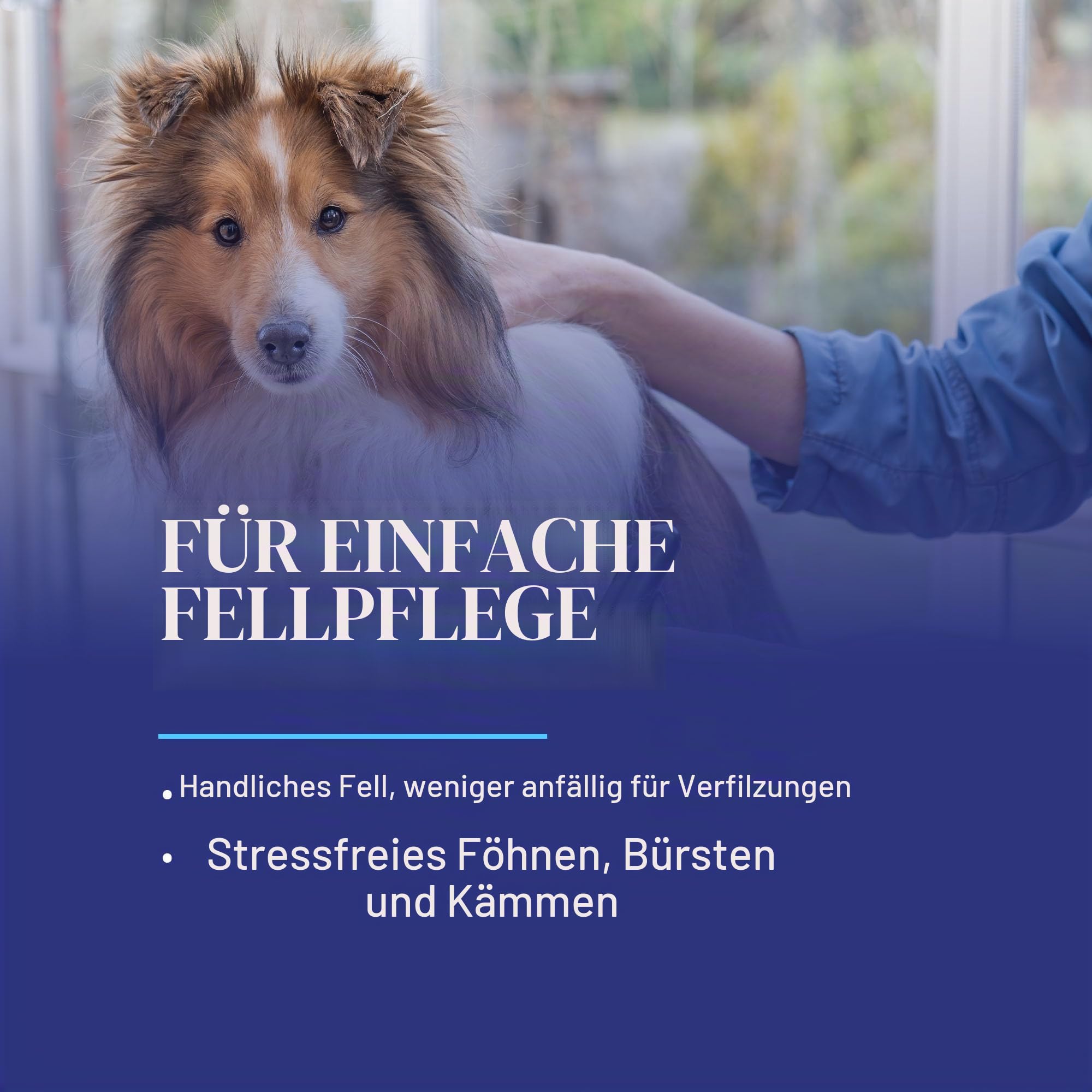 Chris Christensen Ice On Ice Conditioner - Entwirrung und Glanz für das Haar | Professionelle Haarpflege, 3,8L