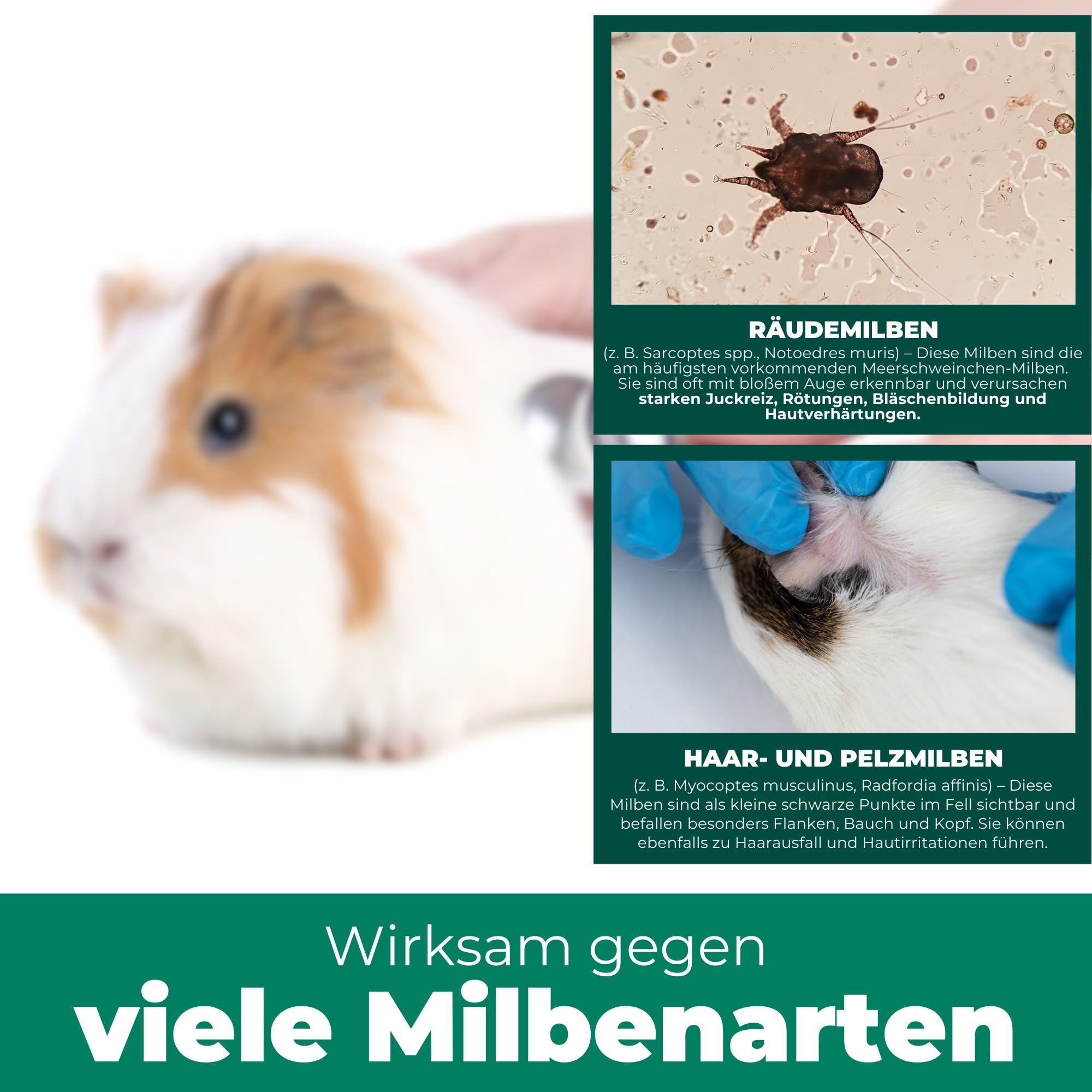 Silberkraft Milbenspray 2 L - Milbenabwehr für Hamster, Meerschweinchen & Nager - Repellent mit Geraniol - Spray für Fell & Käfig - Sofort- & Langzeiteffekt