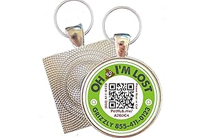 QR Pet ID Tags for Dogs