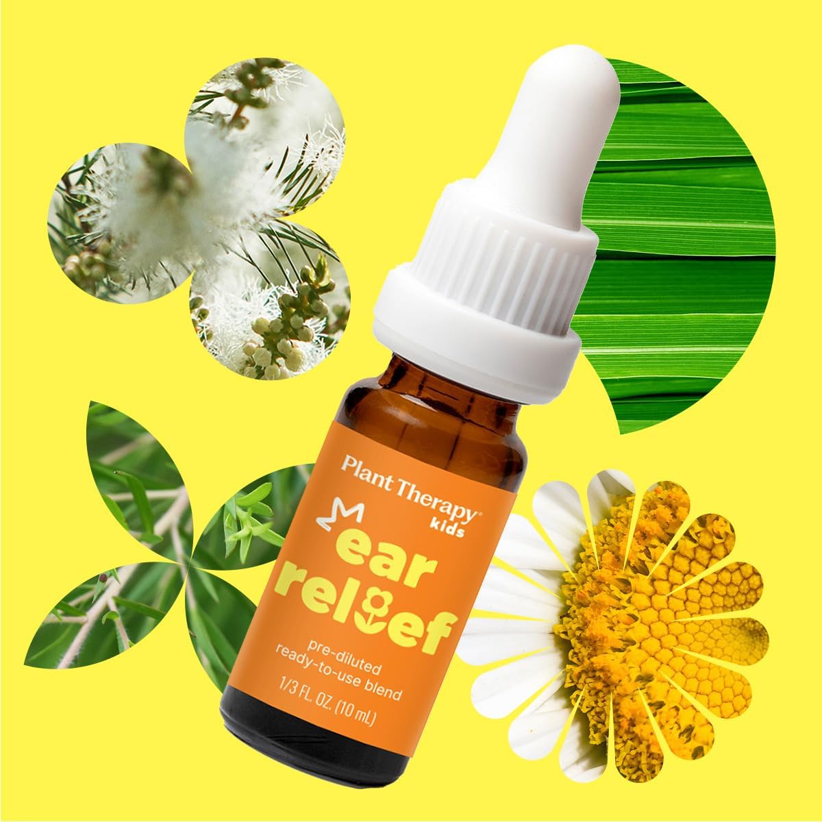 Plant Therapy Kids Ear Relief Essential Oil Ear Drops Blend Pre-Diluted 10 mL (1/3 oz) 100% Pure, Kid Safe, Natural Eardrops, for Children & Adults - Image 3