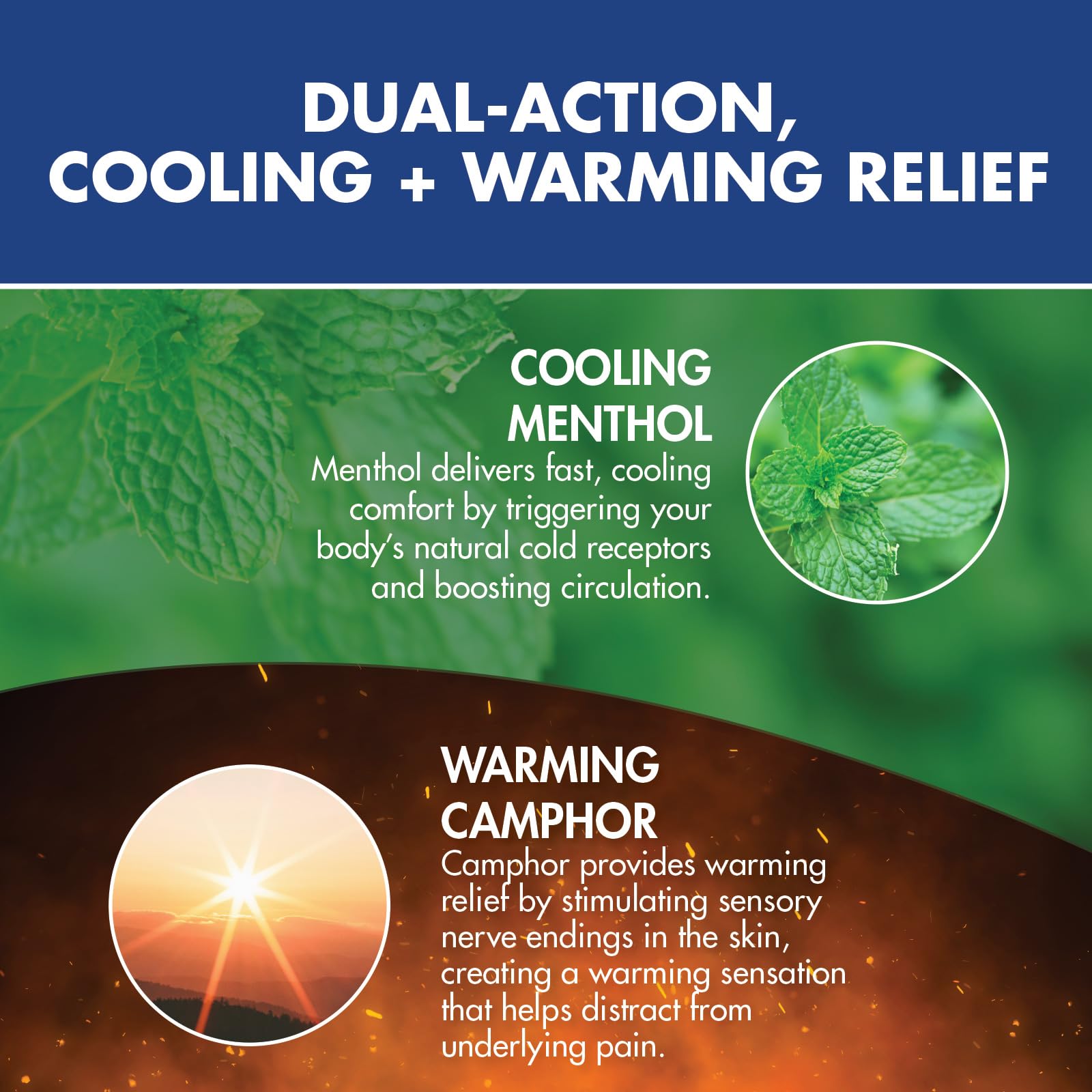 HealthWise Menthol + Camphor Pain Relief Spray, 3 oz, 16% Menthol — Amazon image 9