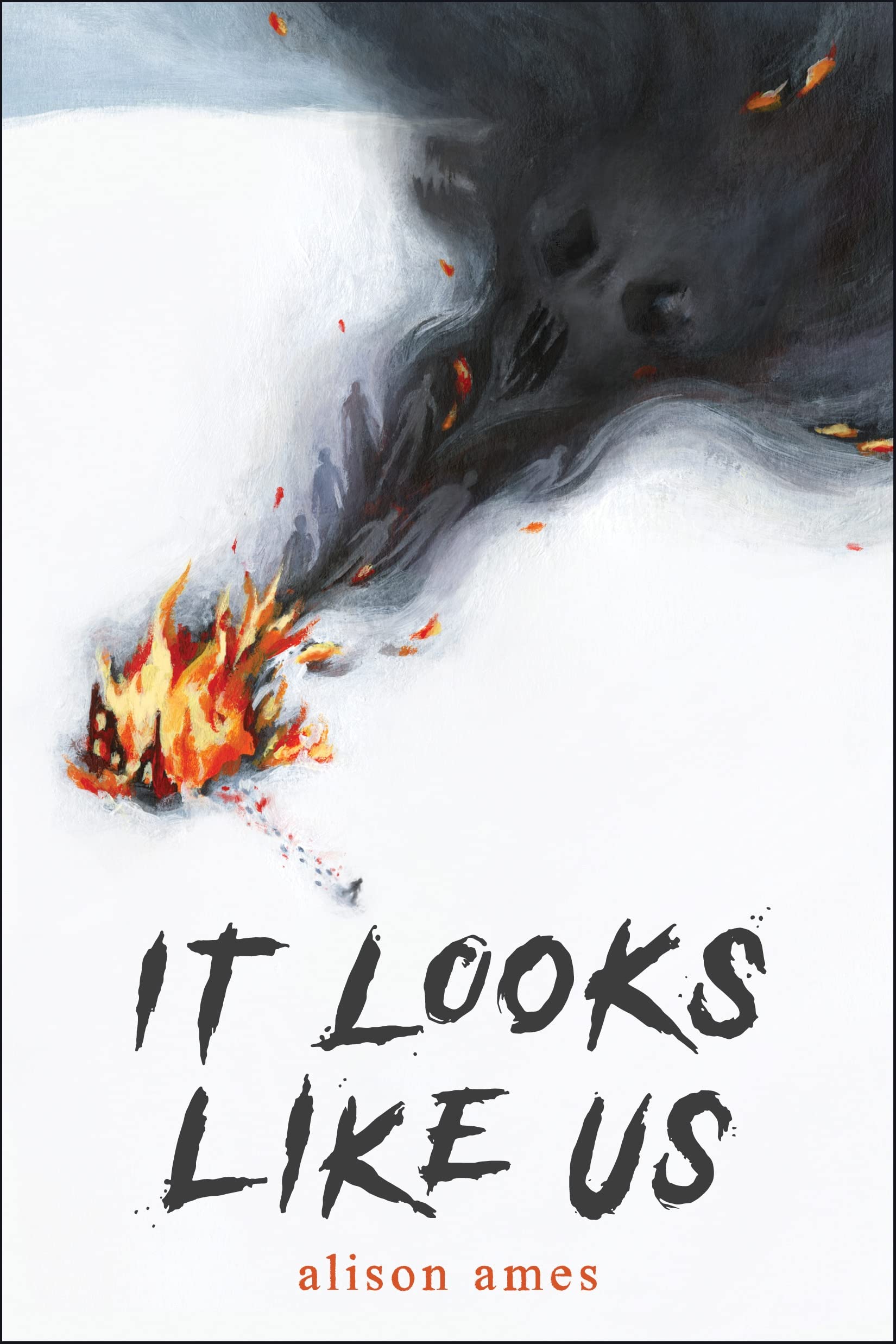 Buy It Looks Like Us — BookShops.in