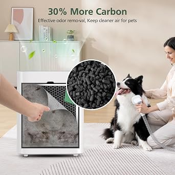 2 Pack H7123101/ H211 / H211S Replacement Filter for Govee Life Smart Air Purifier, 4-Layer HEPA Air Filter for Dust, Pollen, 2 Pack HEPA Filter + 4 Washable Pre-Filter