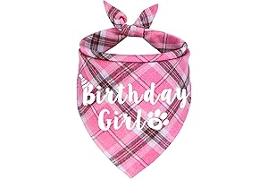 Dog Birthday Bandana: Pawty Time for Your Furry Princess!