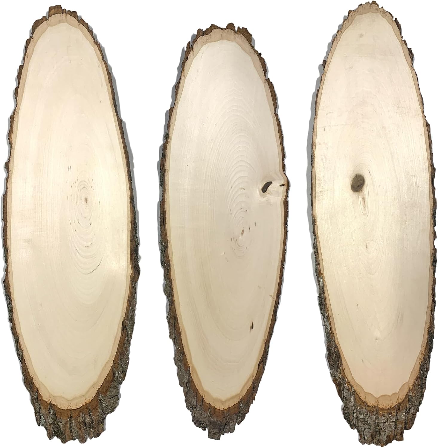 Wilson Basswood Elongated Round Slice (Large 20-30" 3pk)
