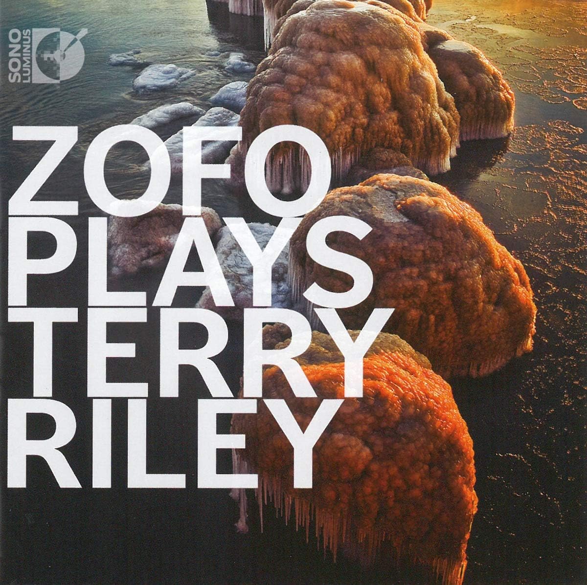Plays Terry Riley