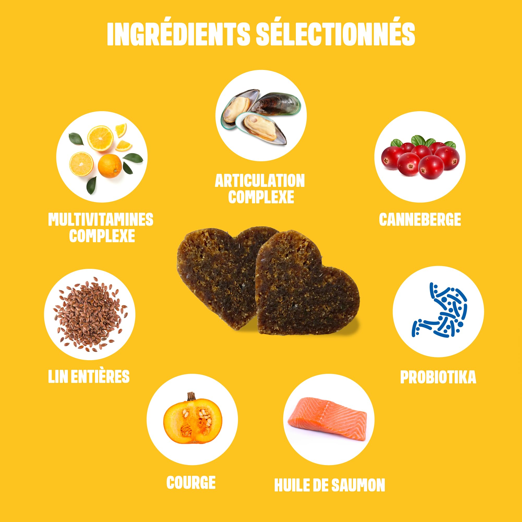 ivvi Multivitamines - Complément Alimentaire pour Chien - Soins Complets pour Une Vie de Chien Heureuse - 60 Délicieuses Friandises au Poulet (270g)