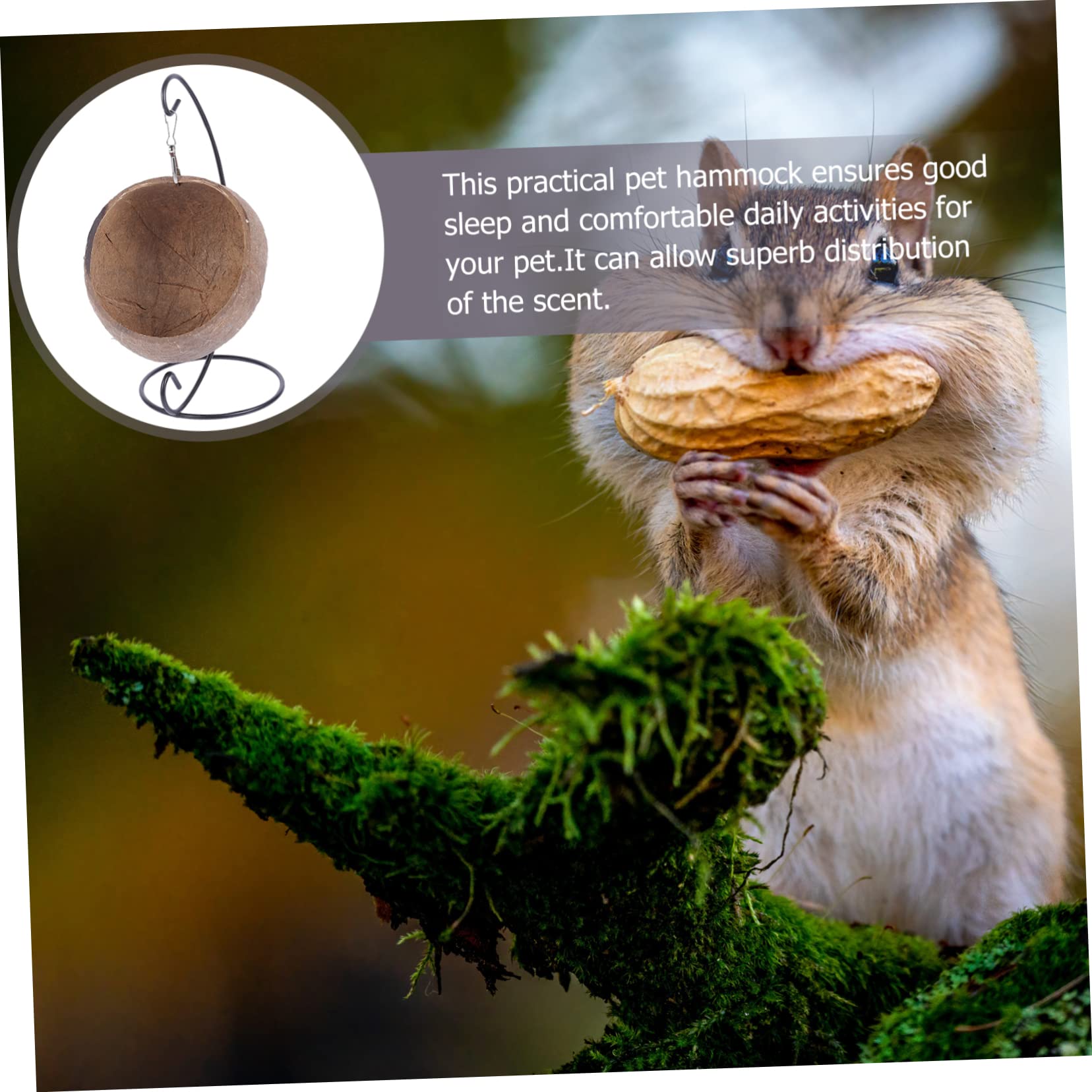 2stücke Hamster Kokosnuss Nest Mit Hängematte Kletterhaus Für Kleintiere Schlafplatz Für Hamster Chinchillas Und Meerschweinchen Spaß Und Dekoration Für Ihr Zuhause