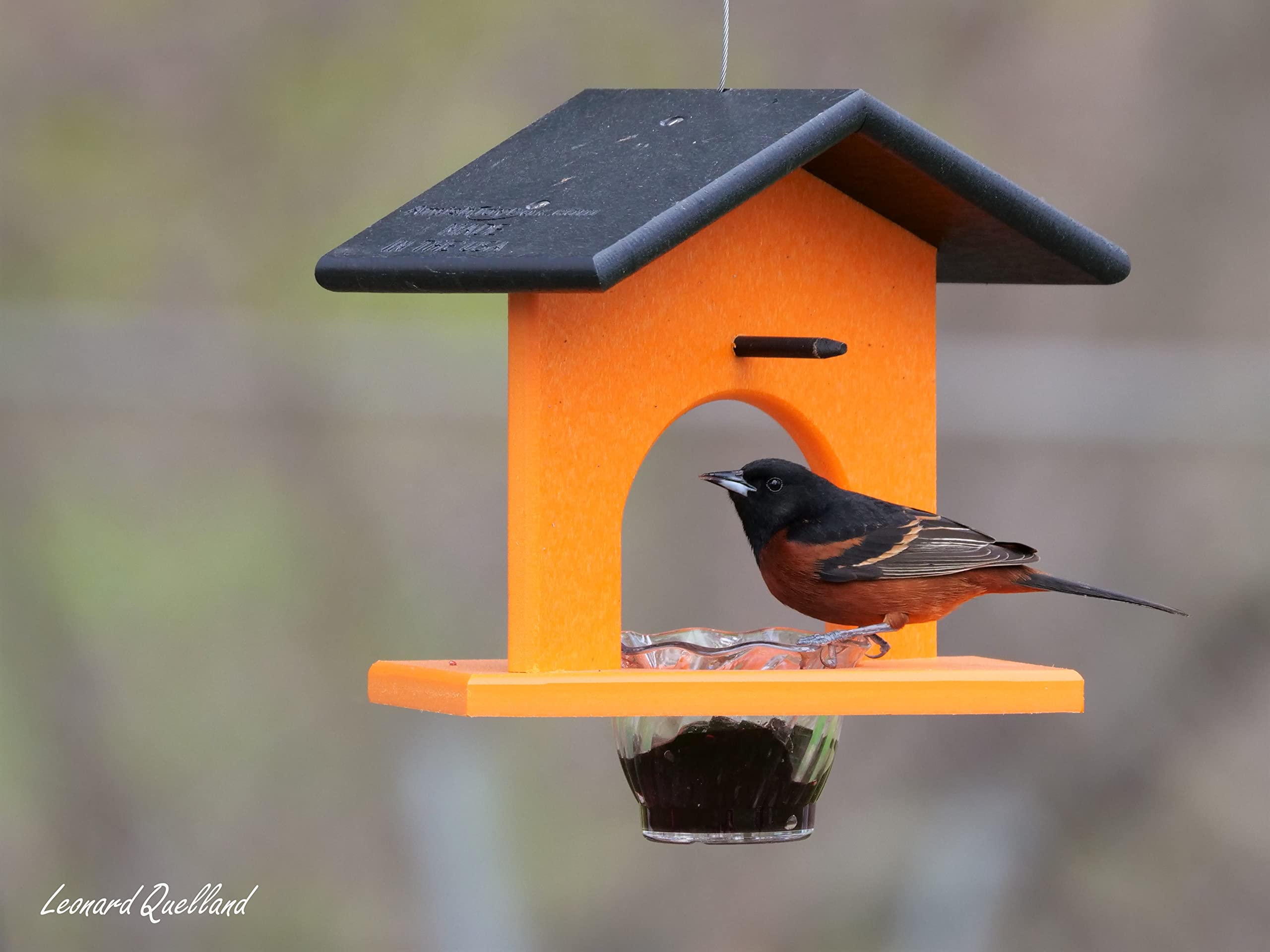Amish-Made Oriole Vogelfutterspender Aus Polyholz – Orange, Mit Geleeschale, 24,1x19,7x19,1 Cm
