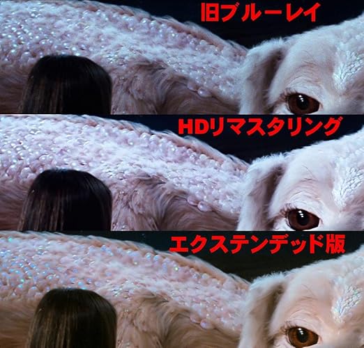 ネバーエンディング・ストーリー ニューマスター コレクターズ
