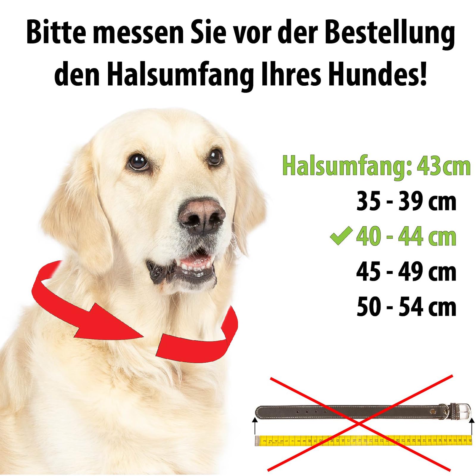 CopcoPet Hundehalsband Leder – Handgefertigtes Lederhalsband für mittelgroße, große Hunde – Halsband Hund – Verstellbar & Robust – Zoe, Marineblau, 45 – 50cm 40mm breit, Verchromte Beschläge
