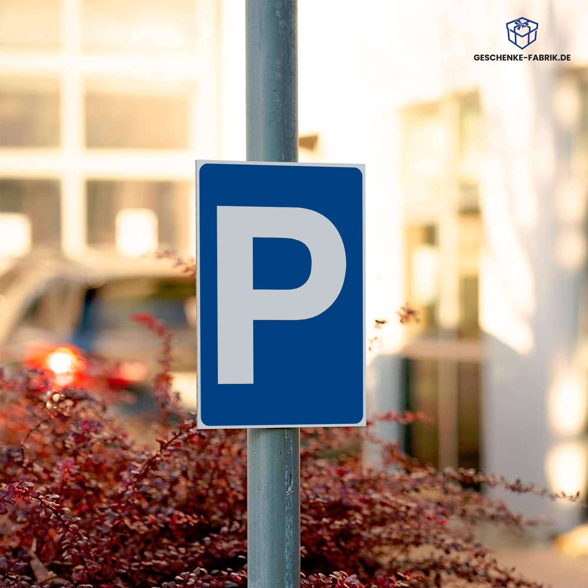 Schild "Parkplatz", Alu-Dibond, 200x300 mm, 8er-Set