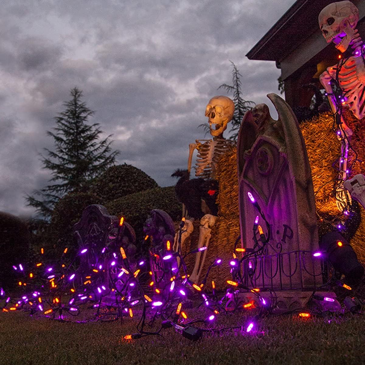Wintergreen Lighting 70 Purple and Orange Mini LED Halloween Icicle Lights, 7 ft Black Wire Indoor/Outdoor Commercial Grade Party, Yard Decor & Outdoor Decorations