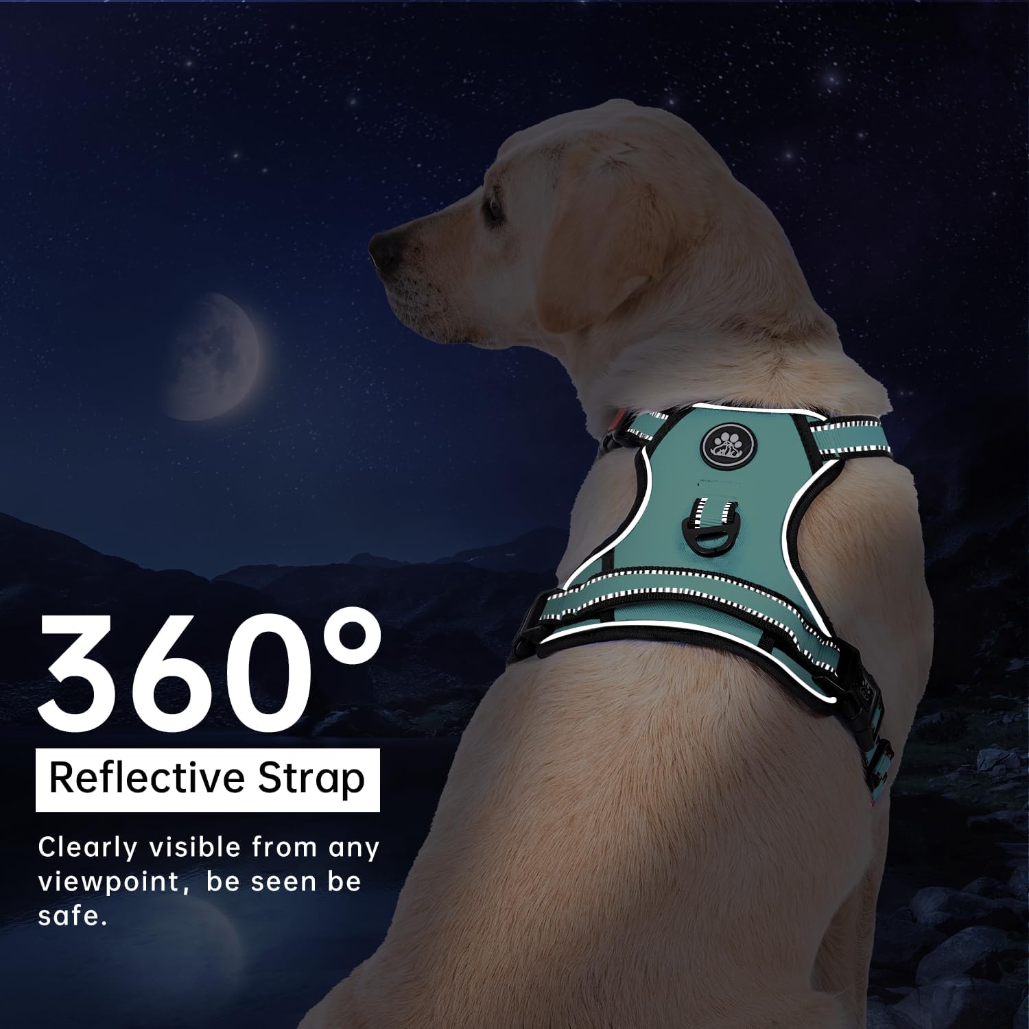 IVY&LANE Dog Harness Set Bundle Dog Collar and Leash Set | Medium | Turquoise+Teal