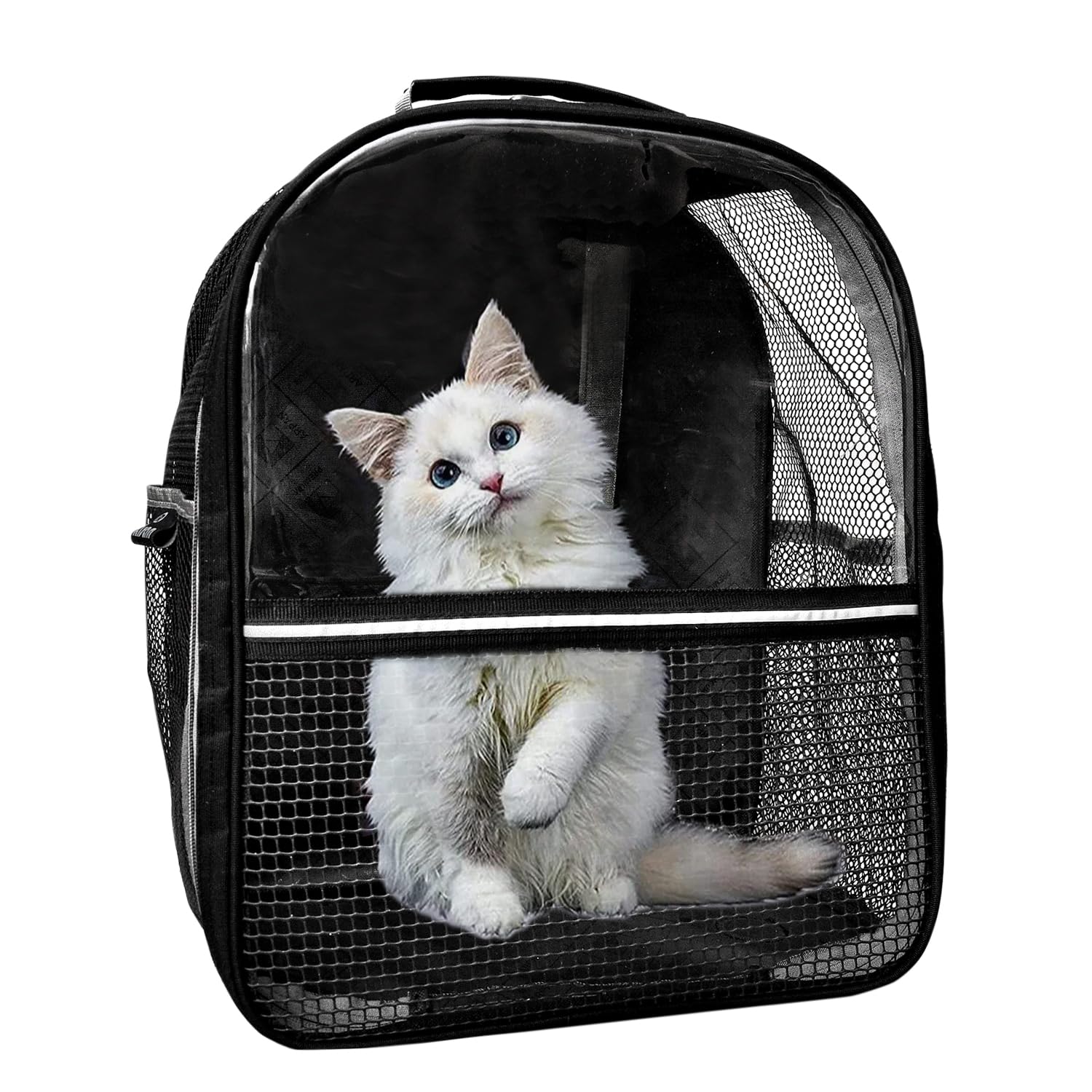 Risan Pet Cat Small Dog Puppy Kitty Shihtzu Rabbit Carriers for Breathable Airline Travel Approved Transparent with Hard Mesh Air Ventilation Backpack Size 16x13x9 inch Black (B0D4JWFCL7) Amazon Price History, Amazon Price Tracker